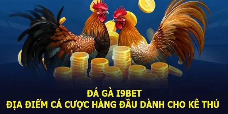 Đá gà trực tiếp I9bet đỉnh cao châu Á 2024